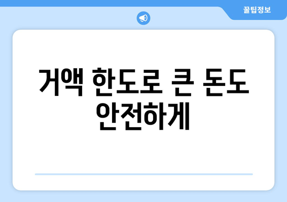 거액 한도로 큰 돈도 안전하게