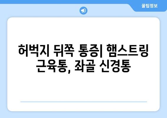 허벅지 앞쪽과 뒤쪽 통증, 부위별 원인과 해결책 | 허벅지 통증, 근육통, 관절 통증, 운동 부상