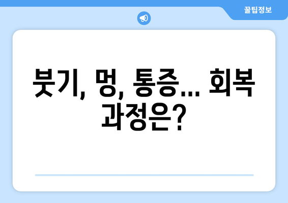 허벅지 지방 흡입 고민 끝! 가격, 수술 과정, 출근 후기까지 모두 공개 | 허벅지, 지방 흡입, 후기, 비용, 수술