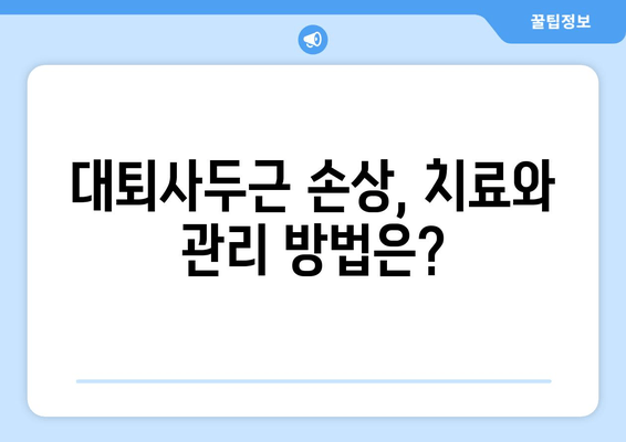 허벅지 앞쪽 통증, 갑자기 발생했을 때? 대퇴사두근 손상 의심 | 원인, 증상, 치료, 예방