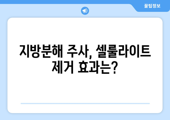 허벅지 셀룰라이트, 지방분해 주사로 둘레 줄였다! | 실제 후기 & 효과 비교