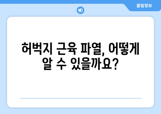 허벅지 근육 파열, 증상과 회복 방법 완벽 가이드 | 운동 부상, 재활, 예방 팁