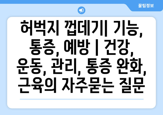 허벅지 껍데기| 기능, 통증, 예방 | 건강, 운동, 관리, 통증 완화, 근육