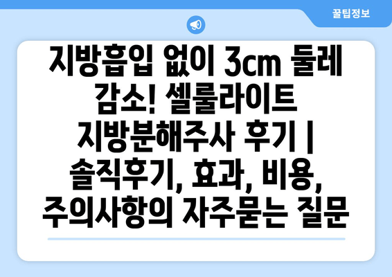 지방흡입 없이 3cm 둘레 감소! 셀룰라이트 지방분해주사 후기 | 솔직후기, 효과, 비용, 주의사항