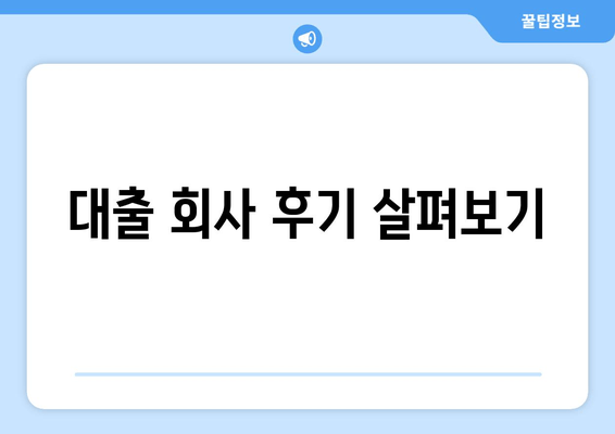 대출 회사 후기 살펴보기