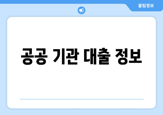 공공 기관 대출 정보