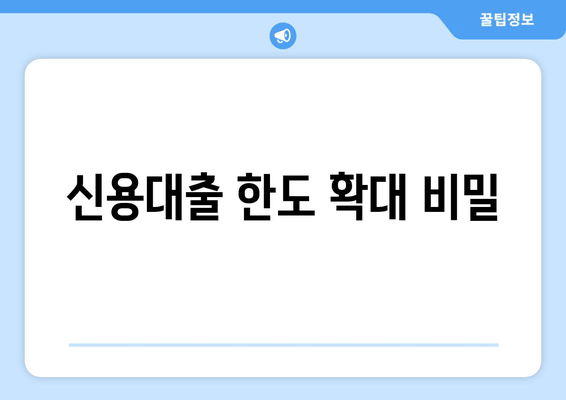 신용대출 한도 확대 비밀