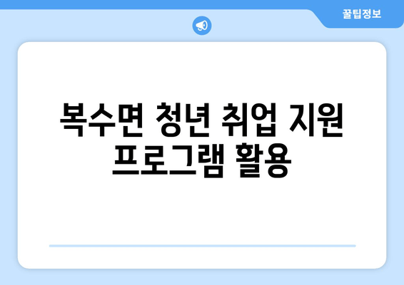 복수면 청년 취업 지원 프로그램 활용