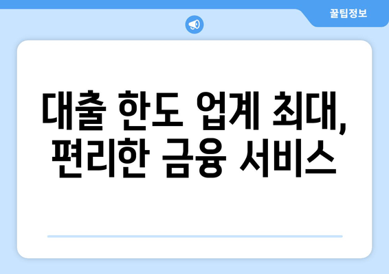 대출 한도 업계 최대, 편리한 금융 서비스