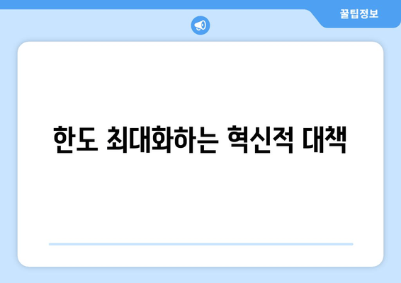 한도 최대화하는 혁신적 대책