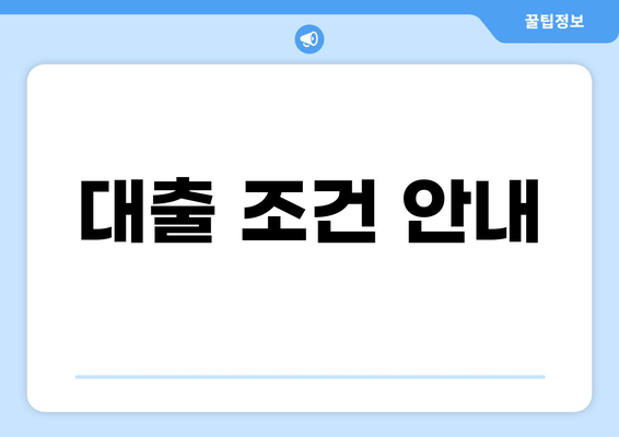 대출 조건 안내