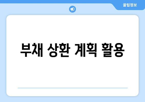 부채 상환 계획 활용