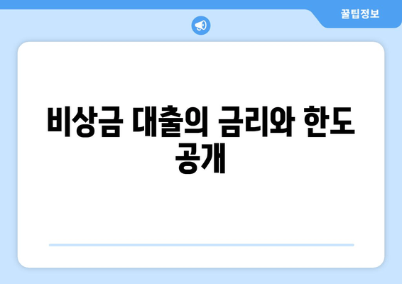 비상금 대출의 금리와 한도 공개