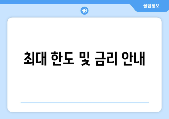 최대 한도 및 금리 안내