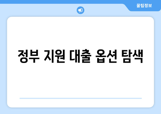 정부 지원 대출 옵션 탐색