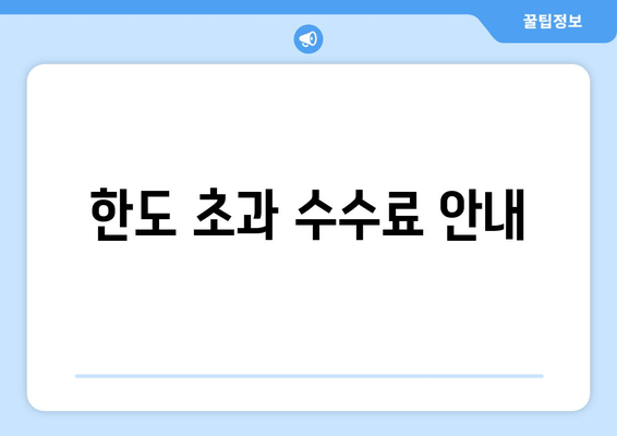 한도 초과 수수료 안내