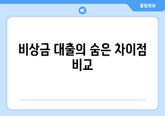 비상금 대출의 숨은 차이점 비교