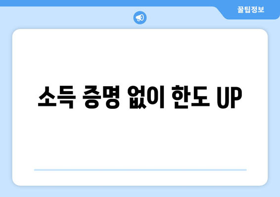 소득 증명 없이 한도 UP