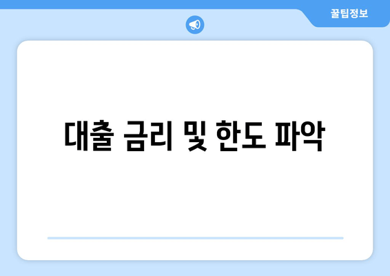 대출 금리 및 한도 파악