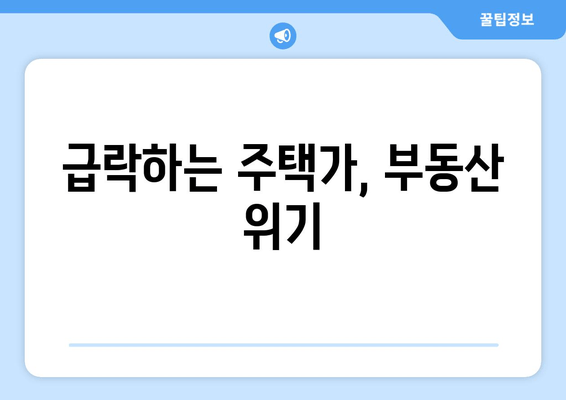 급락하는 주택가, 부동산 위기