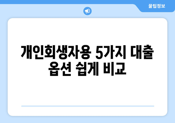 개인회생자용 5가지 대출 옵션 쉽게 비교