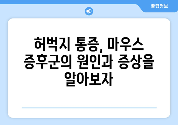 허벅지 통증과 마우스 증상, 놓치지 말아야 할 관리법 | 통증 완화, 예방, 운동, 스트레칭, 마우스 증후군