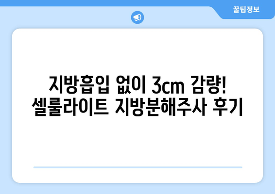 지방흡입 없이 3cm 둘레 감소! 셀룰라이트 지방분해주사 후기 | 솔직후기, 효과, 비용, 주의사항