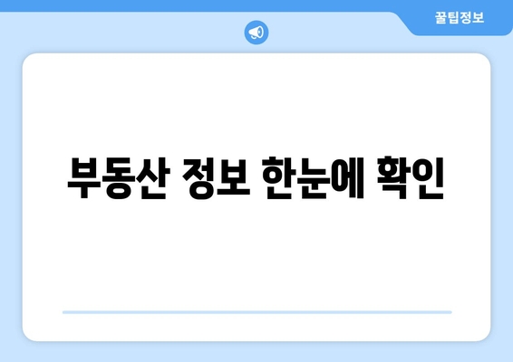 부동산 정보 한눈에 확인