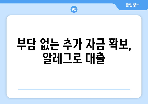 부담 없는 추가 자금 확보, 알레그로 대출