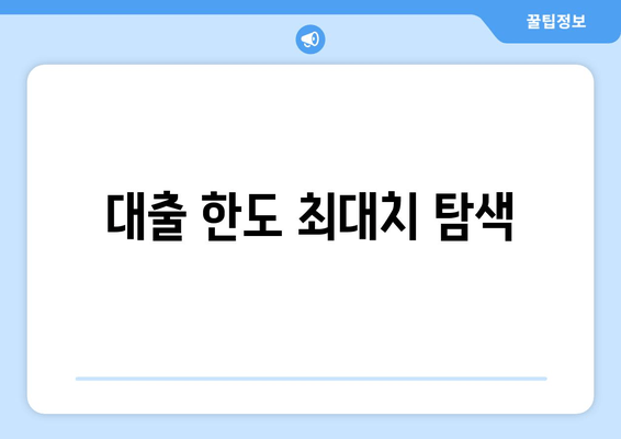 대출 한도 최대치 탐색