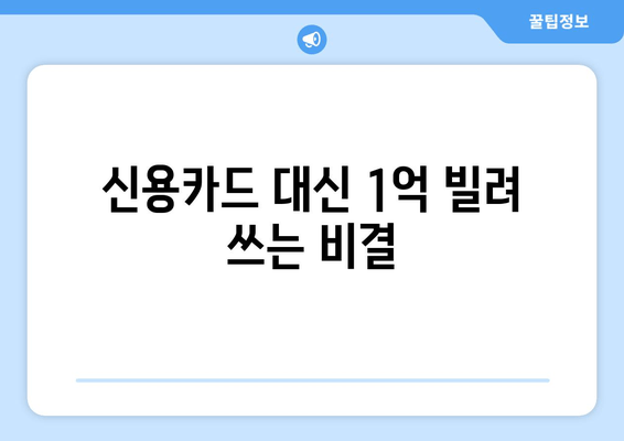 신용카드 대신 1억 빌려 쓰는 비결