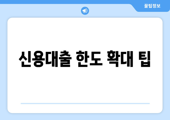 신용대출 한도 확대 팁