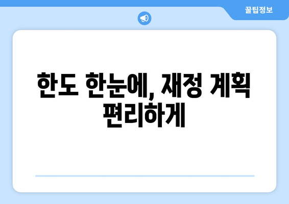 한도 한눈에, 재정 계획 편리하게