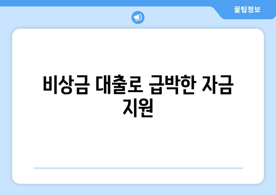 비상금 대출로 급박한 자금 지원