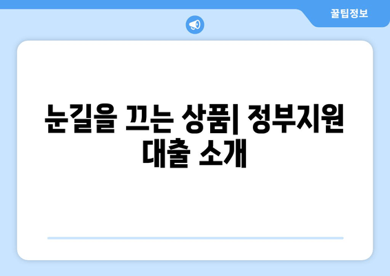 눈길을 끄는 상품| 정부지원 대출 소개