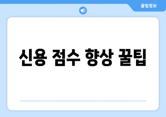 신용 점수 향상 꿀팁