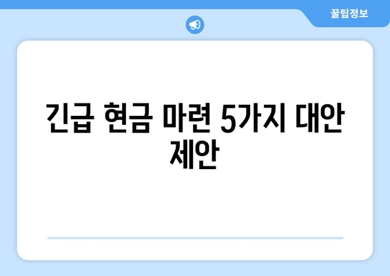 긴급 현금 마련 5가지 대안 제안