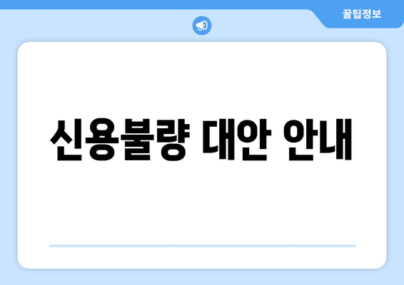 신용불량 대안 안내