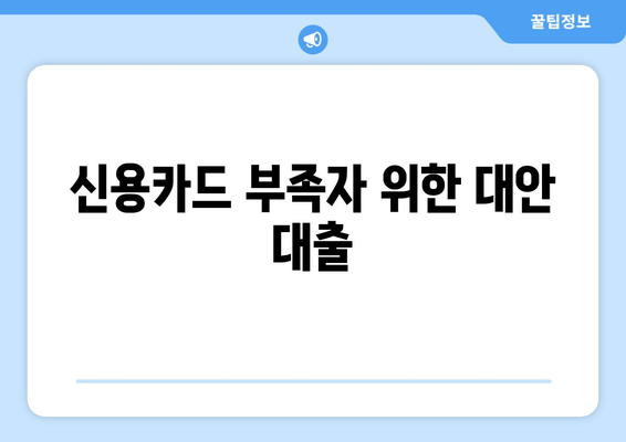 신용카드 부족자 위한 대안 대출