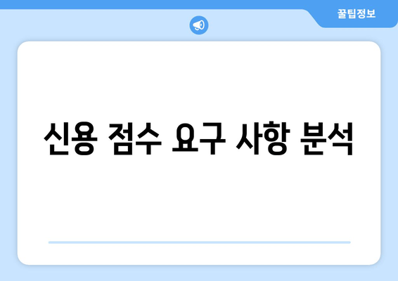 신용 점수 요구 사항 분석