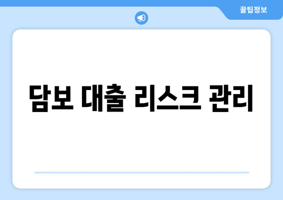 담보 대출 리스크 관리