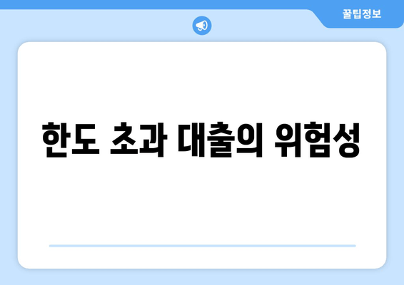 한도 초과 대출의 위험성