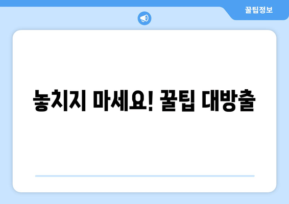 놓치지 마세요! 꿀팁 대방출