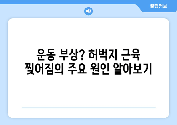 허벅지 근육 찢어짐| 증상, 원인, 그리고 빠른 회복을 위한 솔루션 | 운동 부상, 근육 손상, 재활