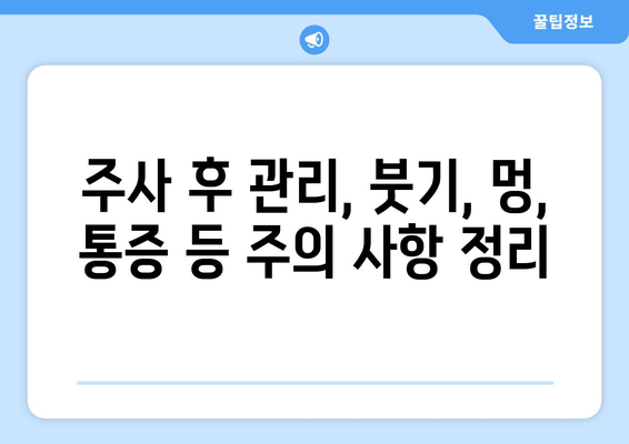 허벅지 지방분해 주사 4회 후기| 만족스러운 변화, 효과 및 주의 사항 | 허벅지, 지방분해, 주사, 후기, 효과, 경험