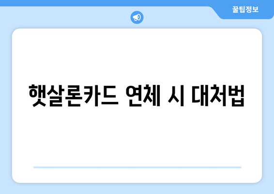 햇살론카드 연체 시 대처법