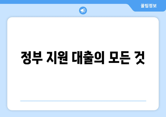 정부 지원 대출의 모든 것