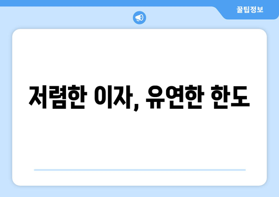 저렴한 이자, 유연한 한도