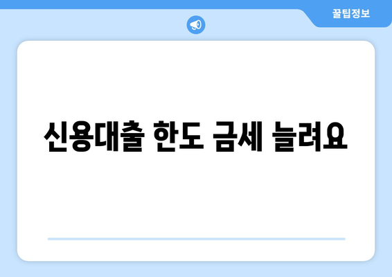 신용대출 한도 금세 늘려요