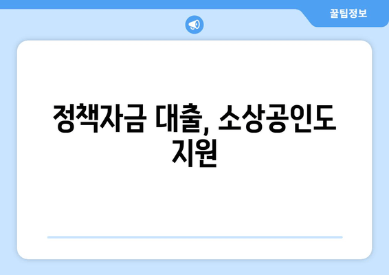 정책자금 대출, 소상공인도 지원